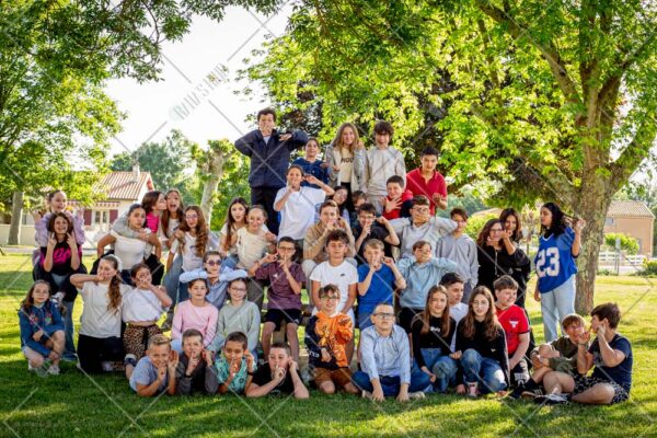 C-6TOUS2